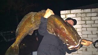 WEIGHING THE GIANT JEWFISH  YouFishTV [upl. by Aneekat]