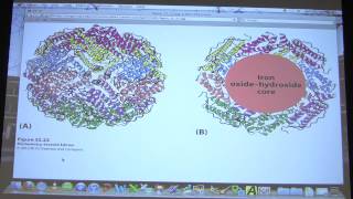 51 Biochemistry Gene Expression III Lecture for Kevin Aherns BB 451551 [upl. by Sirrah]