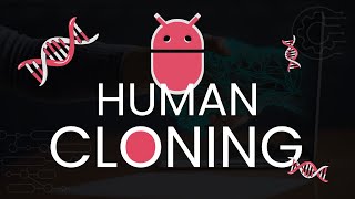 Human Cloning A Scientific Breakthrough [upl. by Haisi]