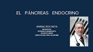 Fisiología del Páncreas Endocrino Insulina Glucagón y Somatostatina [upl. by Rima]