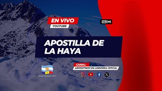 📍Que es la APOSTILLA DE LA HAYA Para que sirve Que documentos deben ser apostillados [upl. by Maryly517]