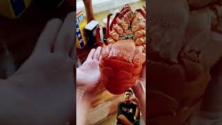 Spiny Lobster ASMR 🦞 lobster spinylobster seafood asmr [upl. by Nnep355]