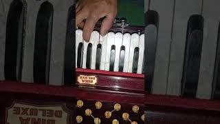 Diktel Bazar harmonium tutorial [upl. by Belding]