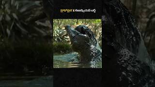 Crocodile X Egyptian Bird 🕊️ shorts youtube youtubeshorts shortvideo facts telugufacts short [upl. by Deva]