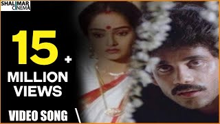 Majnu Movie  Idi Tholi Raatri Video Song  Nagarjuna Rajini  Shalimarcinema [upl. by Freberg133]