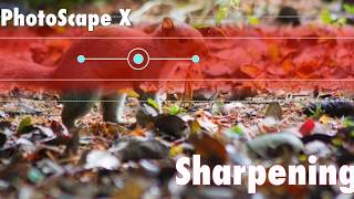 Sharpening Image with PhotoScapeX [upl. by Abner]