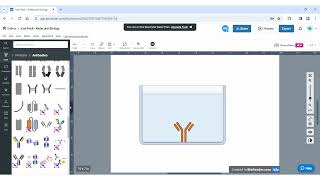 Introduction à lutilisation de BIORENDER pour réaliser vos schémas en Biotechnologies [upl. by Llehsim812]