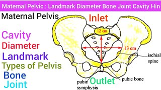 Maternal Pelvic  Anatomy Structure Landmark Diameter Inlet Outlet Cavity Bone Joint Types [upl. by Hi]