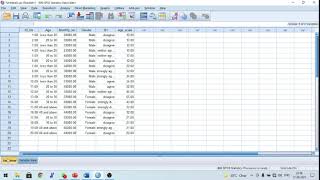 Types of Measurement in SPSS Nominal Ordinal and Scale [upl. by Beacham381]