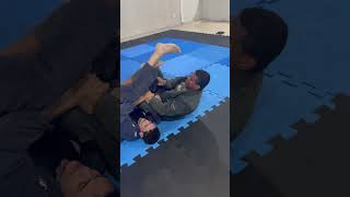 Brazilian black belt and brown belt rolling Omoplata kneebar truck reverse truck estima lock [upl. by Aiker890]