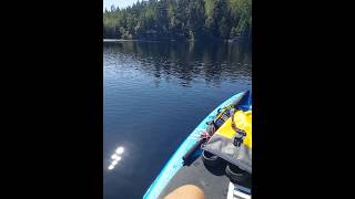 Chilling on my SUP Älgsjön Värmland Sweden [upl. by Aiblis495]