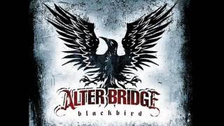 BlackbirdAlter Bridge in B Standard Tuning [upl. by Gilliam]