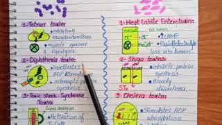 ExotoxinsBacteria exotoxinsExotoxins examples [upl. by Aisile748]