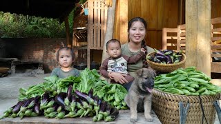 Harvest green vegetables and eggplants to sell at the market  cook with your children [upl. by Anoiek463]