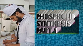 Phospholipid synthesis part 1  phosphatidic acid [upl. by Eejan]