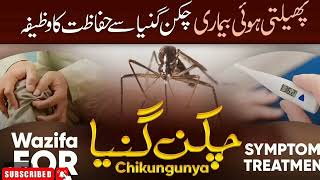 Chikungunya Virus Se Hifazat Ka Wazifa qari khizar raza hamdani [upl. by Willie582]