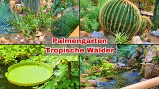 Palmengarten Gewächshäusern botanischen Gärten  Tropische Wälder  Part 1  2021 [upl. by Stern]