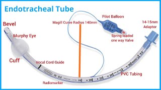 ET Tube  Endotracheal Tube Parts  Invasive Ventilation  Diagnotherapy [upl. by Siravat]