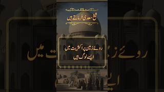 Sheikh Saadi hikayat in urdu  kalam e sheikh saadi  best of sheikh saadi  sheikhsadi sufiquotes [upl. by Amerak]