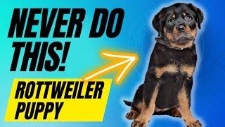 6 Things You Must NEVER Do With Your Rottweiler Puppy [upl. by Venus182]