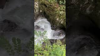 Gorges de la Langouette What a stunning waterfall Tré bon shortsvideo travel nature mdbc [upl. by Nnyre576]