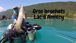 GROS BROCHETS en FLOAT tube sur le lac DANNECY Peche aux leurres [upl. by Fisch]