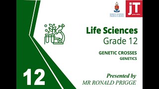 Gr 12  Life Sciences  Genetics  Genetic Crosses [upl. by Ermin]