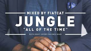 Jungle – All Of The Time DNB Mix by FiatCat 87 bpm [upl. by Shewmaker]