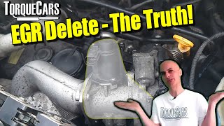 EGR DeleteEGR Removal  Worth The RiskEffort All You Need To Know About EGR Deletes [upl. by Nylhsa]