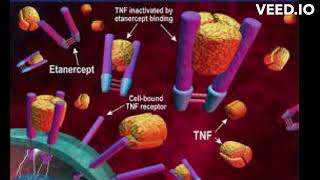 mechanism of action of etanercept [upl. by Lovato]