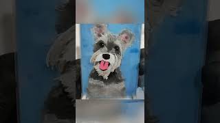 Mini Cuadro 3D DIY mascotas mascotas pets cuadros retrato diy 3d mini miniature [upl. by Kosak]