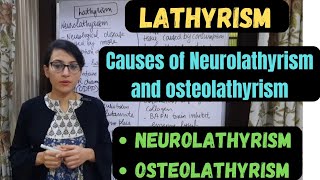 Lathyrism  Neurolathyrism  Osteolathyrism  Causes of Neurolathyrism and Osteolathyrism [upl. by Icats]