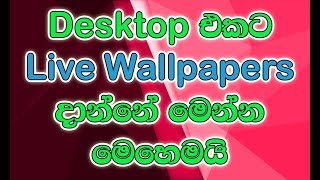 How to Install Live Wallpapers in Windows PC in Sinhala [upl. by Noby]