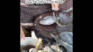 Halua fish cutting in fish Market youtube fishcutting fishing fish [upl. by Eneres]