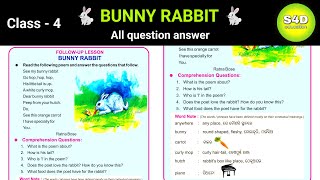 Bunny Rabbit Question answer class 4 English  Class 4 lesson 3 followup lesson Bunny Rabbit [upl. by Anaxor]