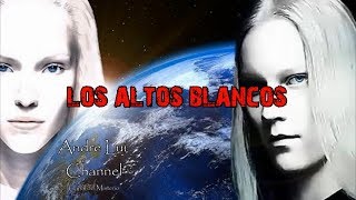 8 Razas Extraterrestres Los Altos Blancos [upl. by Freud]