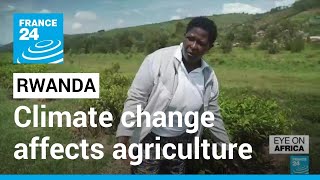 Rwanda is one of the most affected country by climate change on the African continent • FRANCE 24 [upl. by Ydnirb]