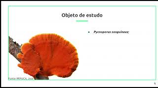 ESTUDO DO Pycnoporus sanguineus Potencialidade das propriedades pesticidas do fungo [upl. by Annayr204]