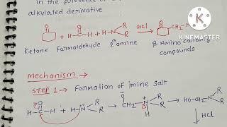 mannich reaction [upl. by Burt]