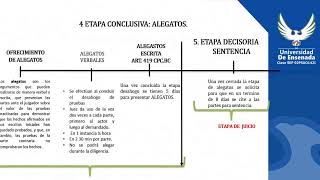 Procesal Civil La etapa probatoria y la etapa de alegatos [upl. by Anaugahs]