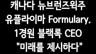 캐나다 뉴브런즈윅주 유플라이마 Formulary1경원블랙록CEOquot미래를 제시하다quot수백배폭등은quot4차산업quot [upl. by Haymo]