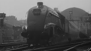 Vintage railway film  Elizabethan express  1954 [upl. by Usanis]