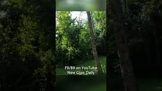 Hole 4  Holly Woods Disc Golf Course  196  Par 3  Quiet Disc Golf  ASMR [upl. by Yadsendew]