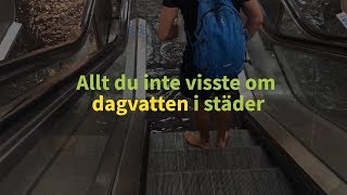 Rosendals dagvattensystem – allt du inte visste om dagvatten i städer [upl. by Ssecnirp]