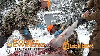 Cutting and Prepping Elk In The Field with Randy Newberg Hunter Part 1 of 3 [upl. by Nollek543]