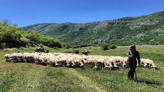 Lura mrekullia që duhet shpëtuar  Fshatrat e Shqipërisë [upl. by Haram]