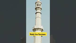 Nabinka farman [upl. by Hamilton]