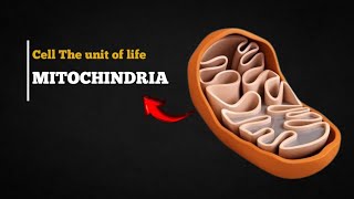 mitochondria  cell the unit of life mitochondria [upl. by Ettereve]