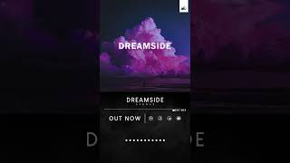 esenes quotdreamsidequot out now esenes dreamside chillmusic dreamer wave wavemusic electronic [upl. by Enialem]