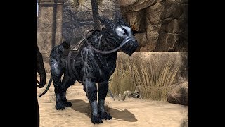 Elder Scrolls Online Shadow Atronach Senche Mount [upl. by Acsot]